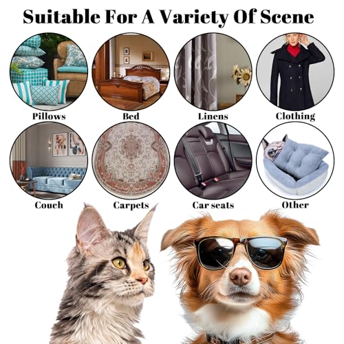 2 Pcs Pet Hair Remover Pumice Dog Cat Hair Stone Quickly Removal Cleaning Pet Fur Stone Reusable Upholstery Cleaner Rock Tool for Car Interior Couch Bedding Carpet Couch Furniture