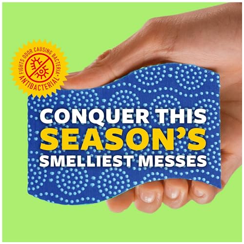 Scotch-Brite Scrub Dots Non-Scratch Scrub Sponges, Sponges for Cleaning Kitchen, Bathroom, and Household, Non-Scratch Sponges Safe for Non-Stick Cookware, 24 Scrubbing Sponges - size: 24 Count (Pack of 1)