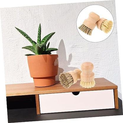 2pcs Palm Brush for Dishes Pots Sturdy Scrub Brush Odorless Bristles Multipurpose Kitchen Cleaning