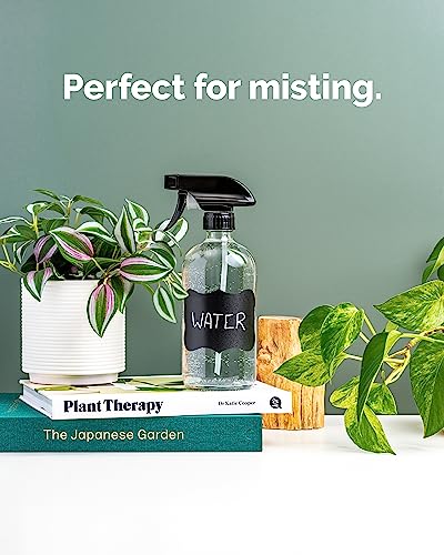 Vine Creations Glass Spray Bottles, 2 Pack Refillable Spray Bottles for Cleaning Solutions, Plant Misters, Clear Glass Spray Bottle for hair, 16 oz Mister Spray Bottle with Waterproof Labels - color: Clear Bottle / Black Nozzle