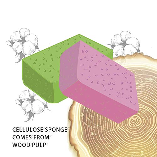 Cellulose Sponges Kitchen, for Washing Dishes, in Bulk, 24 Pack (3 Count x 8 Individually Wrapped + 2 Free Scouring Pads), 100% Natural Biodegradable - style: 24 Pack