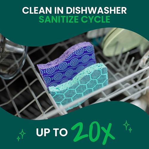 Scotch-Brite Odor Resist Non-Scratch Scrub Sponge, Dishwasher-Safe Kitchen Sponges that Resist Bacterial Odors, Multipurpose Dish Sponge for Gentle Cleaning, 6 Dish Sponges - size: 6 Pack