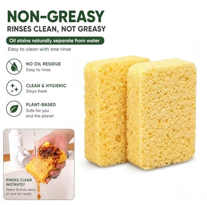 Kitchen Sponges, 20 Count, Plant-Based Cellulose + PET Scrub Sponge Set, Scratch & Non- Scratch Dish Sponges, Assorted Cleaning Sponges