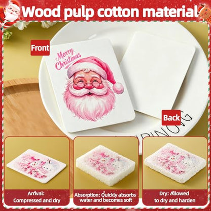 Chengu 12 Pcs Christmas Kitchen Sponges Pink Santa Reindeer Snowman Xmas Tree Water Absorbing Dish Washing Sponge Non Scratch Household Cleaning Scrub Sponges for Holiday Home Kitchen Bathroom - style: Christmas