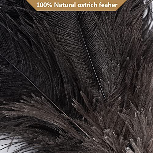 Aldwin Ostrich Feather Duster, 16 inch Black Genuine Ostrich Feathers with Wood Handle, Reusable Car Dusters, Eco-Friendly Cleaning Handheld Dusters for Home, Office and Kitchen - color: Black