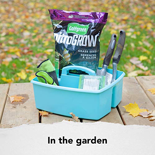Storex Industries 13" x 11" x 6.375" Large Caddy, Teal (Pack of 2) - color: Teal, size: 2-Pack, style: Large