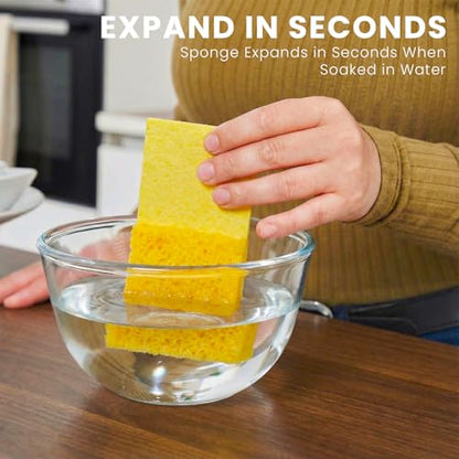 Metflavor Compressed Kitchen Sponges, 12 Count, Thick Non-Scratch Cellulose Dish Sponges, Biodegradable & Compostable, Pop-up Cleaning Sponge, 5" x 3" x 1" - size: 12 Pack