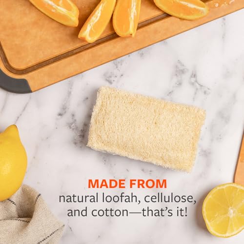 Full Circle 100% Plant-Based Loofah Sponges – Pack of 2 – Plastic-Free, Natural Sponge, No Microplastics, Safe for Nonstick Cookware - size: Loofah Scrubber Sponge 2pk