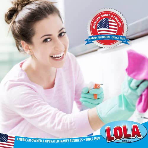 LOLA Nylon Netting Sponge Cleaning Scrubber Pad, 2 Pack, Non Scratch, Safe on Non-Stick Surfaces Coated Cookware & Dishes - Gentle Effective Cleaning - size: 2 Pack, style: Nylon Net Sponges