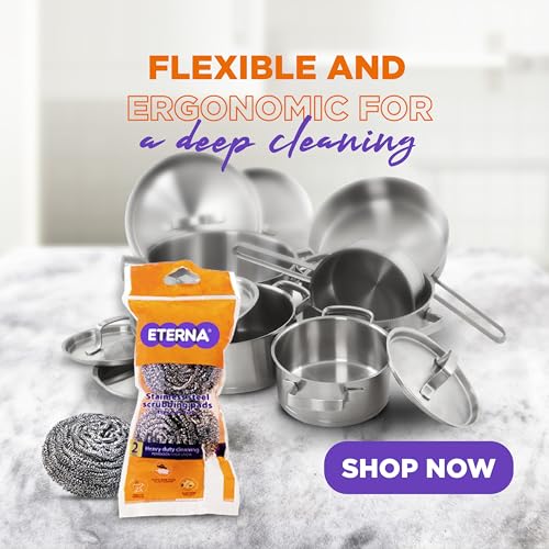 ETERNA Stainles Steel Scrub Bag, Dish Scrubbers for Cleaning Kitchen and Household, Steel Scrubbers for Cleaning Dishes, 2 Scrubbers