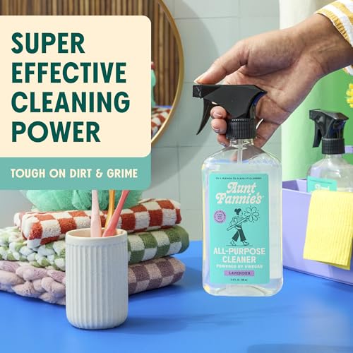 Aunt Fannie's All Purpose Household Cleaner, Multi-surface Spray, Powered by Vinegar for Kitchen, Bath, Windows and Countertops, Lavender Scent (Pack of 1) - size: 16.9 Fl Oz (Pack of 1)
