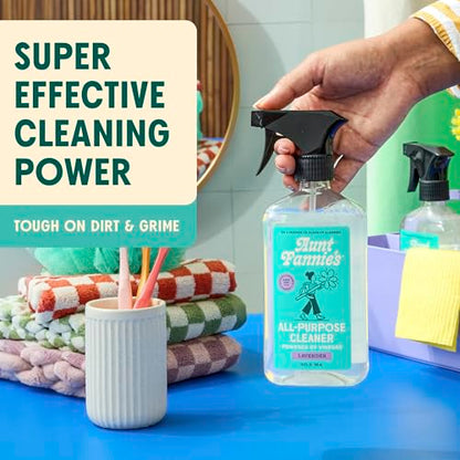 Aunt Fannie's All Purpose Household Cleaner, Multi-surface Spray, Powered by Vinegar for Kitchen, Bath, Windows and Countertops, Lavender Scent (Pack of 1) - size: 16.9 Fl Oz (Pack of 1)