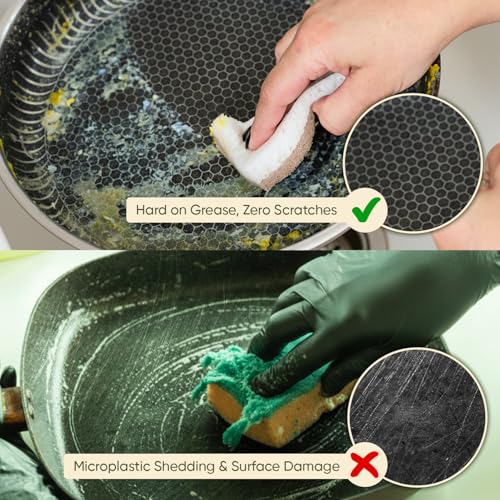 Plant-Based Kitchen Sponges (24 Pack) | USDA Biobased Certified | FSC & PETA Approved | Natural Cellulose & Coconut Scrubber Sponge | S-Shaped Design | Eco-Friendly, Non-Scratch, Non-Toxic & Vegan - size: 24 Pack