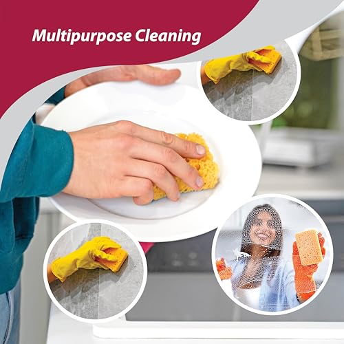 HIC Kitchen Pop-Up Sponges, Rectangular, Natural Vegetable Cellulose, 2 Sets of 4 - style: Pop Up, Set/8