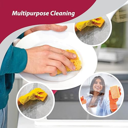 HIC Kitchen Pop-Up Sponges, Rectangular, Natural Vegetable Cellulose, Set of 4 - style: Pop Up, Set/4
