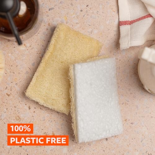 Full Circle 100% Plant-Based Loofah Sponges – Pack of 2 – Plastic-Free, Natural Sponge, No Microplastics, Safe for Nonstick Cookware - size: Loofah Scrubber Sponge 2pk