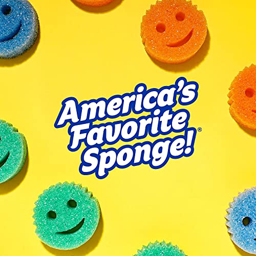 Scrub Daddy Sponge Daddy - Scratch-Free Multipurpose Kitchen & Dish Sponge - BPA Free & Made with Polymer Foam - Stain & Odor Resistant (4 Count) - style: Sponge Daddy