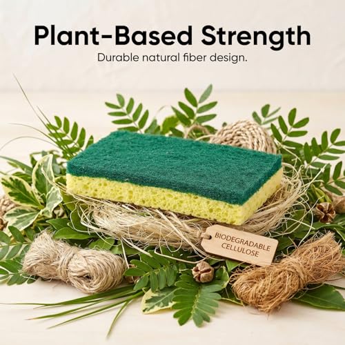 Scrubee Heavy Duty Scrub Sponge with Scouring Pad, Kitchen Dishwashing, Sink, Pot, and Frying Pan Cellulose Scrubber Sponge Non-Scratch, by Superio, 2-Pack (4.5" Sponge) - color: Green, size: 2-pack
