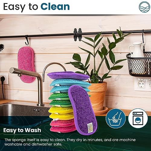 – 10 Kitchen Sponges Pack– Washable and Reusable Dishes Sponge Rubber – 6 X 3 inches - Multicolored