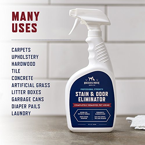 Rocco & Roxie Supply Co. Stain & Strong Odor Eliminator, Enzyme Cleaner, Pet Odor Eliminator for Home - Carpet Stain Remover for Cats & Dog Pee - Urine Destroyer - Carpet Cleaner Spray Clear, 32 Fl Oz - size: 32 Fl Oz (Pack of 1)
