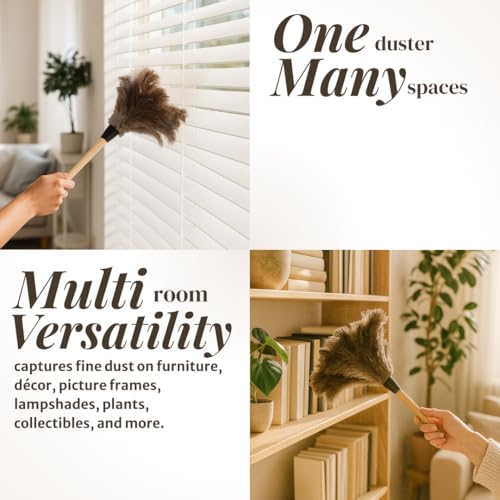 Ostrich Feather Duster with Wooden Handle 14" – Natural Reusable Feather Duster for Cleaning, Furniture & Shelves, Blinds, Ceiling Fan, Dusting Tool for Home, Office, Delicate Surfaces - 2 Pack - size: 2 Pack