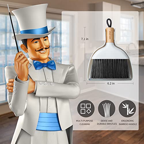 MR.SIGA Mini Dustpan and Brush Set, Portable Cleaning Brush and Dustpan Combo with Bamboo Handle, 1 Set - color: White