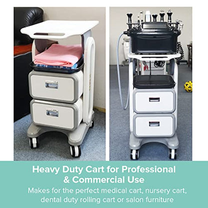 Professional Utility Cart with Wheels - Rolling Dental Office Cart with Drawers - Medical Trolley for Cavitation Machine, Esthetician Supplies, Lab Tools - Salon Trolley - size: 130LB Load / 2 Drawer