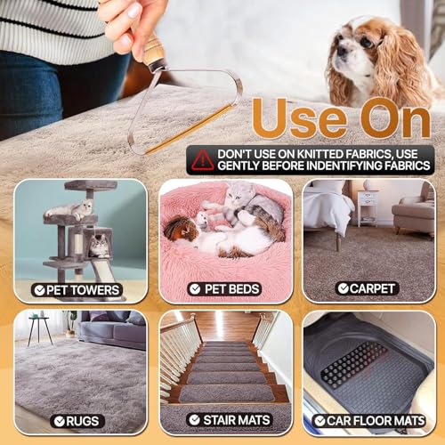 2-Pack Pet Hair Removal Tool - Carpet Rake and Squeegee for Pet Hair Remover Tool - Lint Remover and Hair Scraper for Couch - Easy to Clean Fuzz Fur and Pro Cat Dog Hair Remover for Rugs,Car Floor Mat - size: 2 Pack