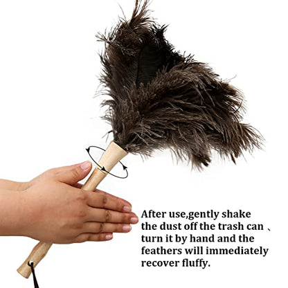 Ostrich Feather Duster 16 inch Feather Duster Fluffy Natural Genuine Ostrich Feathers with Wooden Handle and Eco-Friendly Reusable Handheld Ostrich Feather Duster for Cleaning Supplies - color: Model-a-brown-2 Pieces
