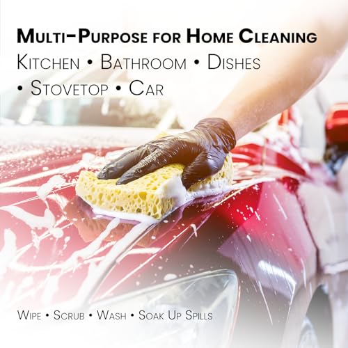 Mistifi Compressed Cellulose Sponges, Natural Plant-Based Kitchen Sponges, Super Absorbent Non-Scratch Cleaning Sponge for Dishes, Counters, Bathroom & More–Reusable Dish Sponges (12 Pack)