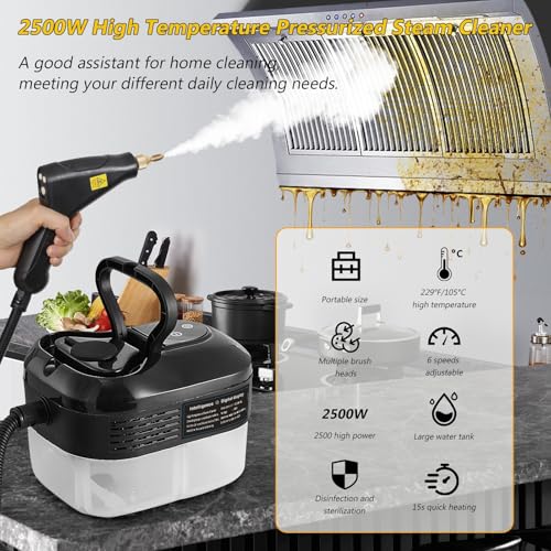 Foandbevi Handheld Steam Cleaner, 2500W High Pressure Multi-Surface Steam Cleaner for Home Use, Car Steamer For Cleaning Auto Detailing Kitchen Floors Tools - color: Black