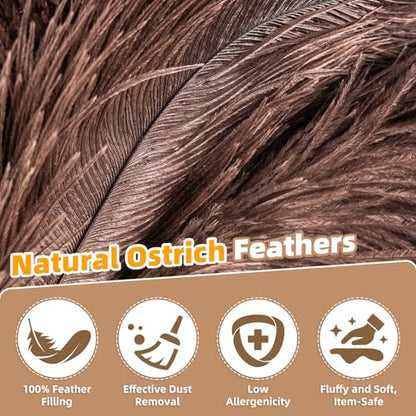Extendable Ostrich Feather Duster with 19-49 inch Rotatable Stainless Steel Pole, Natural Feather Duster for Ceiling Fan Cobweb Dusting, Reusable Flexible Cleaning Duster(Include 1 Replacement Heads) - color: 49in-brown