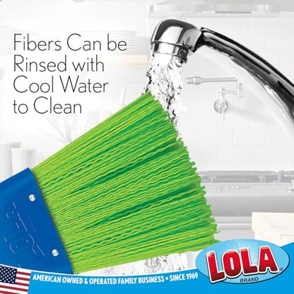 LOLA Heavy Duty Whisk Broom, Hand Brush, Durable Bristles, Whisks Away Dirt & Debris, Compact, Hang Hole for Easy Storage, Indoor/Outdoor, 1 Pack - size: 1 Count, style: 2026 Model
