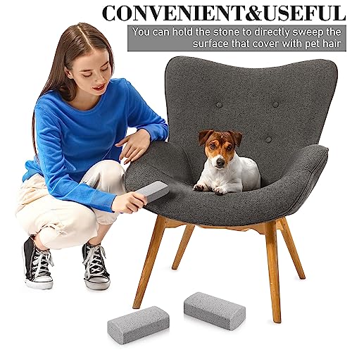 Loopeer 2 Pcs Pet Hair Remover Pumice Stone for Dog Cat Hair Removal Cleaning Pet Fur Stone 6 Inch Dog Fur Cleaning Tool for Car Interior Bedding Carpet Couch Furniture(3.74 x 2 x 1.6 in) - size: 3.74 x 2 x 1.6 In