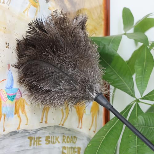 Natural Ostrich Feather Duster 14.9 inch Fluffy Mini Dusters with Plastic Handheld for Cleaning Car Keyboard Office 2 PCS - color: Natural-a-2pcs
