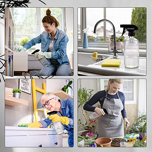 Worldgsb Glass Spray Bottles, 16oz Clear Glass Spray Bottles with Labels & Adjustable Nozzle, Reusable Containers for Cleaning Solutions, BBQ, Food, Plants, Alcohol, Essential Oils(2 Pack) - color: Clear, style: 2 Pack