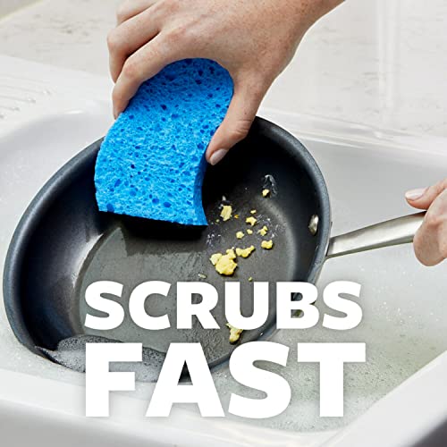 Scotch-Brite Scrub Dots Non-Scratch Scrub Sponge, Rinses Clean, for Washing Dishes and Cleaning Kitchen, 3 Scrub Sponges (Pack of 2) - size: 3 Sponges (Pack of 2)
