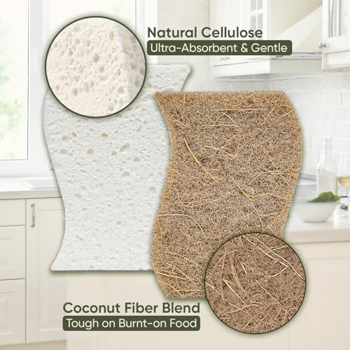 Plant-Based Kitchen Sponges (24 Pack) | USDA Biobased Certified | FSC & PETA Approved | Natural Cellulose & Coconut Scrubber Sponge | S-Shaped Design | Eco-Friendly, Non-Scratch, Non-Toxic & Vegan - size: 24 Pack