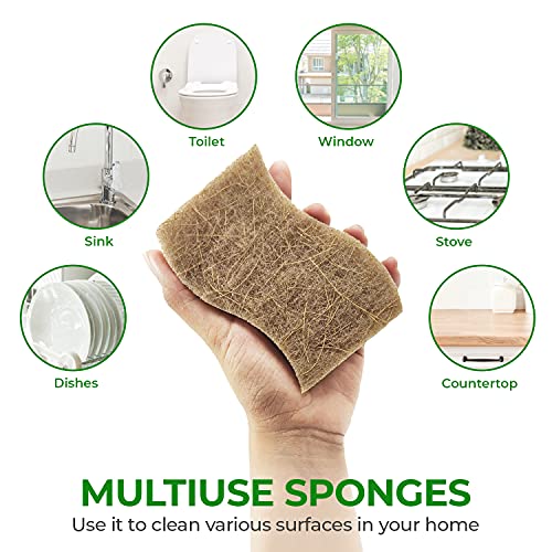 AIRNEX Natural Kitchen Sponges (6 Pack) - Biodegradable Cellulose & Coconut Scrubber Dish Sponges for Kitchen - Eco-Friendly, Non Scratch, Compostable, Non Toxic S-Shaped Natural Sponges for Dishes - size: 6 Pack
