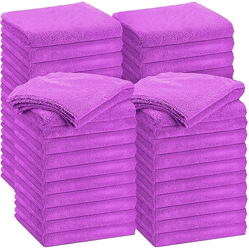 Shimeyao 30 Pcs Edgeless Microfiber Plush Towels for Cars Detailing Drying Wash Polishing Absorbent Cleaning Cloths, 500 GSM (16 x 16 Inch,Purple) - color: Purple, size: 16 x 16 Inch