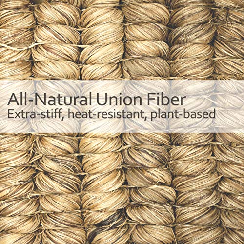 REDECKER Curved Dish Brush, Natural Union Plant Fiber Bristles, Ergonomic Design with Oiled Beechwood Handle, 10-1/2 Inches, Set of 2, Made in Germany - Union Bristle Scrubber - size: Set of 2, 10-1/2-Inches