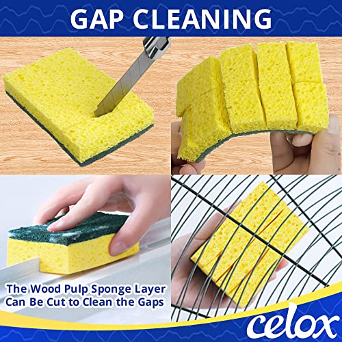 CELOX Sponges Kitchen, Cleaning Sponge for Dish, Yellow, 12 Pack - color: Green and Yellow - F
