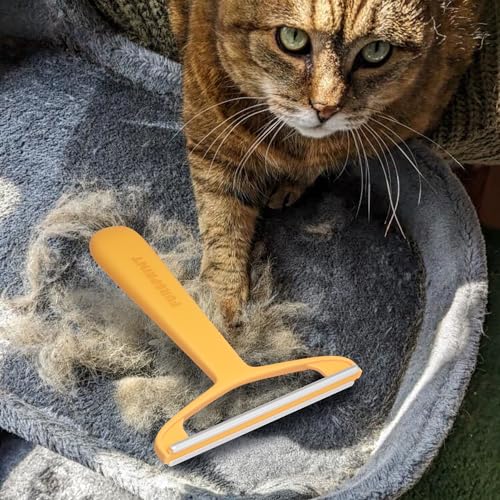 Pro Pet Hair Removal Tool – Dog & Cat Hair Scraper for Carpet, Couch, and Car – Reusable Carpet Hair Removal Tool & Fur Scraper for Upholstery, Rugs, Furniture, and Car Interiors - color: Pro