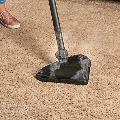 Wagner Spraytech C900158.M SteamMachine Triangle Head Steam Mop for Corners and Floors