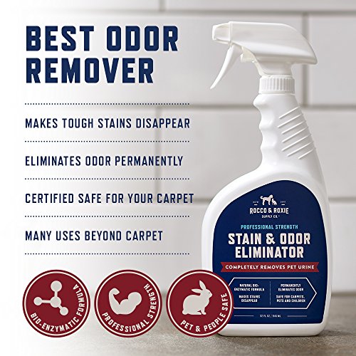 Rocco & Roxie Supply Co. Stain & Strong Odor Eliminator, Enzyme Cleaner, Pet Odor Eliminator for Home - Carpet Stain Remover for Cats & Dog Pee - Urine Destroyer - Carpet Cleaner Spray Clear, 32 Fl Oz - size: 32 Fl Oz (Pack of 1)